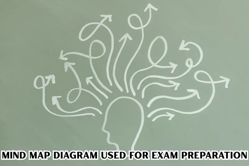 mind map diagram used for exam preparation