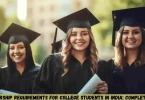scholarship requirements for college students in india: complete guide